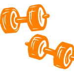 17-170153_clip-art-bodybuilding-weights-and-dumbbells-dumbbell-orange
